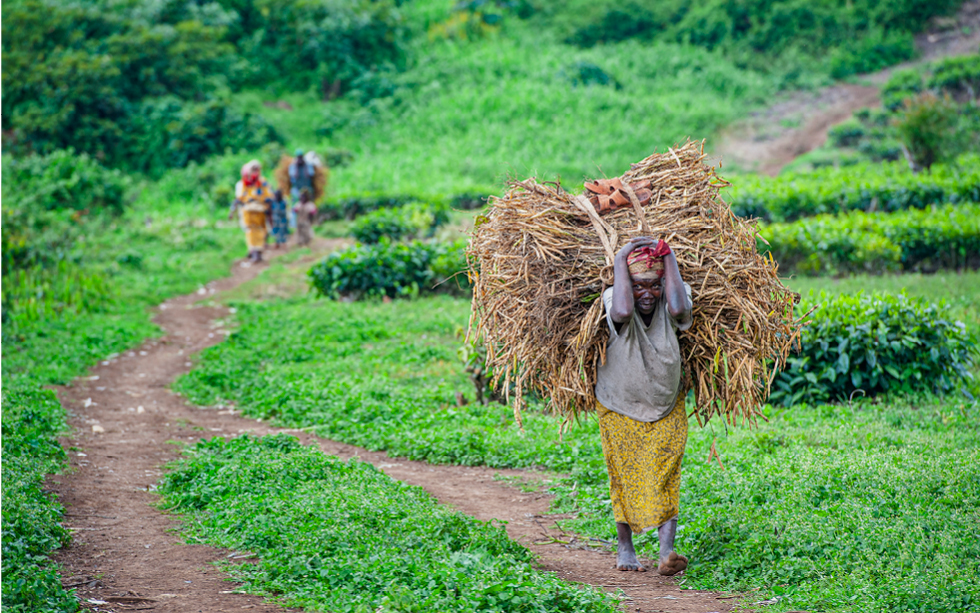 Congo. Storie di guerra e resilienza